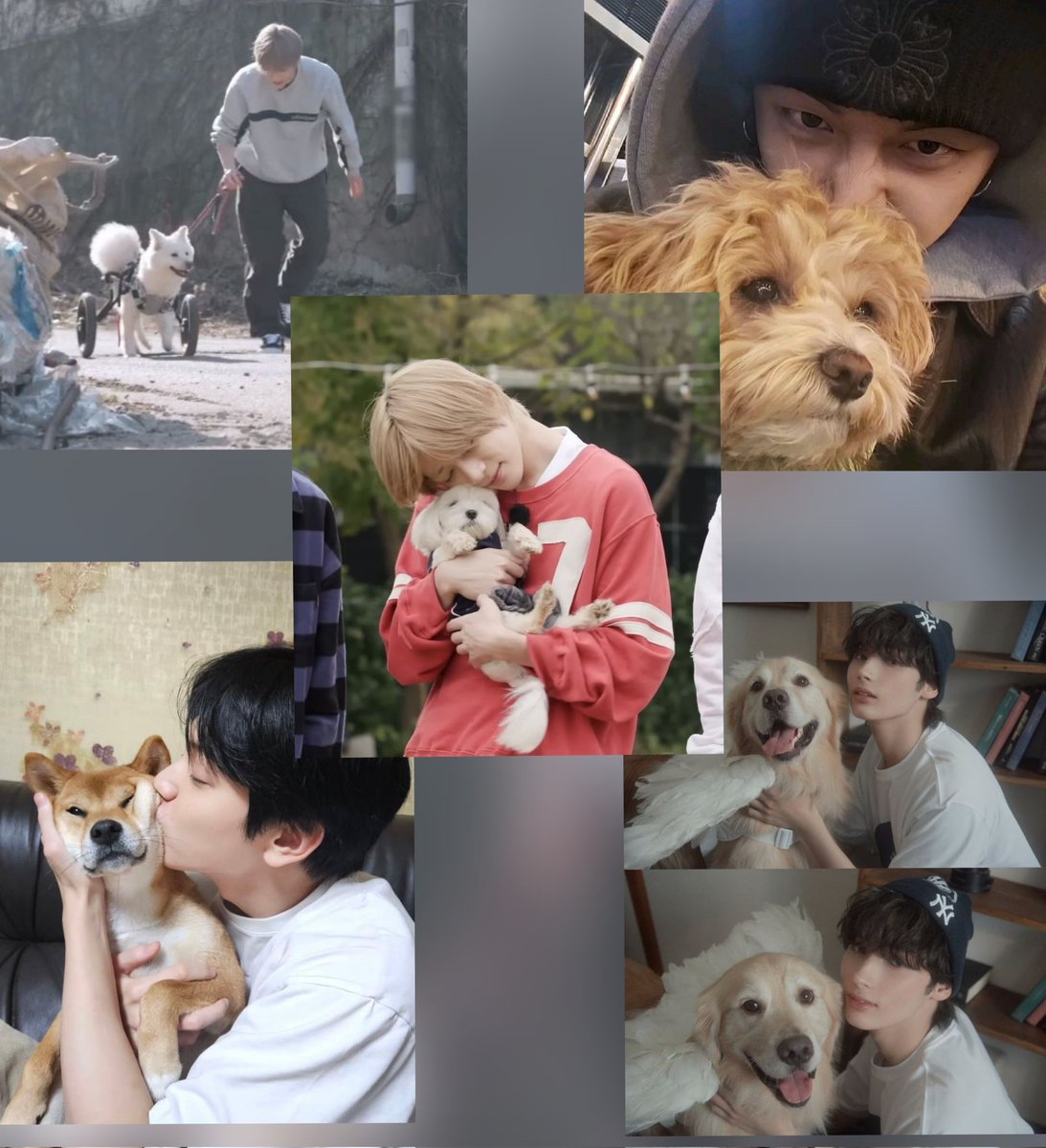 acervotubatu's tweet image. 🚨⚠️ Nós do Acervo TXT estamos aqui para pedir Justiça pelo caso absurdo que aconteceu com o cachorro Orelha de Florianópolis, esperamos de coração que os MOAs e demais não deixem esse caso absurdo passar abatido, precisamos que algo seja feito!!!

 #JustiçaPorOrelha ❤️‍🩹