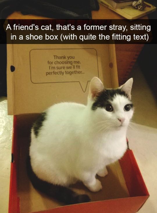 MemesToView's tweet photo. https://t.co/FzAJsL8aij