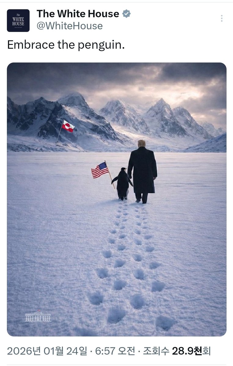 XFamily369's tweet image. Penguin 🐧 
Do you understand?