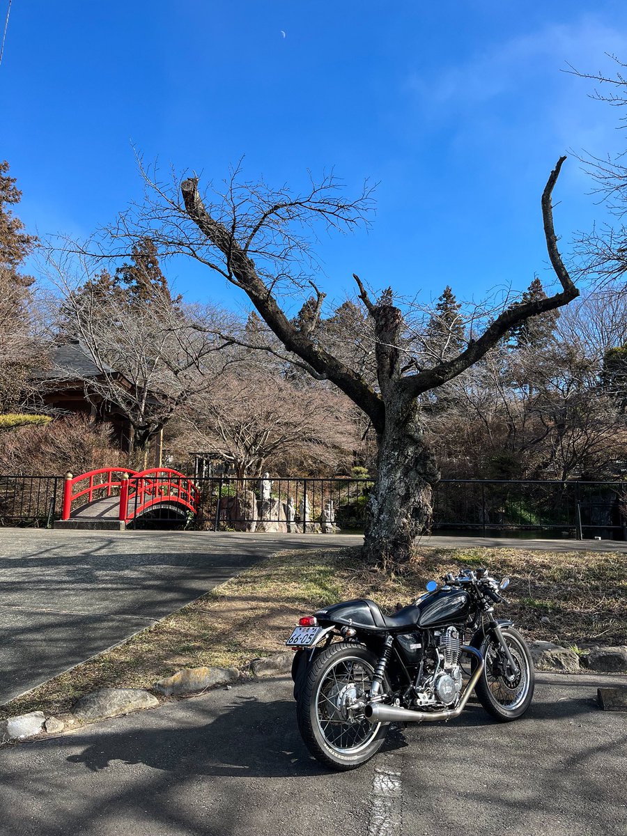 yuzora18's tweet photo. 風強くて寒すぎぃ https://t.co/fMSVl1irCK