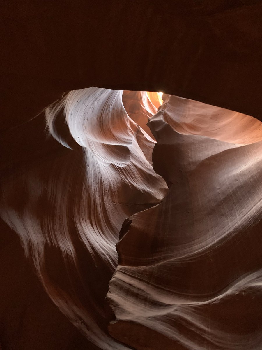 J. Aaron Mitchell tweet media