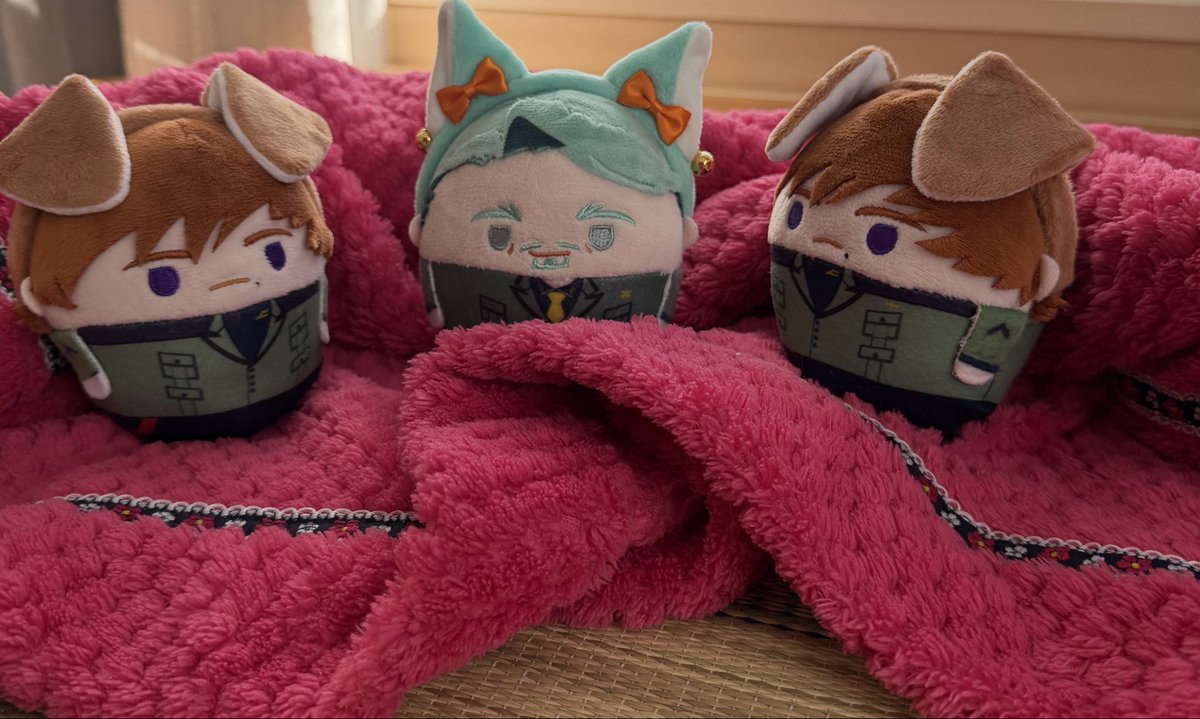 今日のイベで購入させていただきました🫶 かわいい！かわいい！☺️