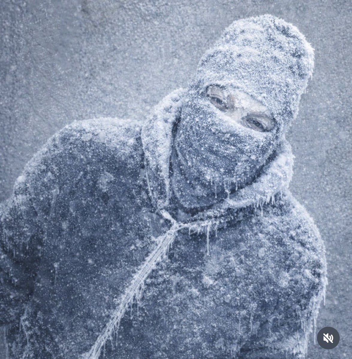 Smartzworld.eth tweet media