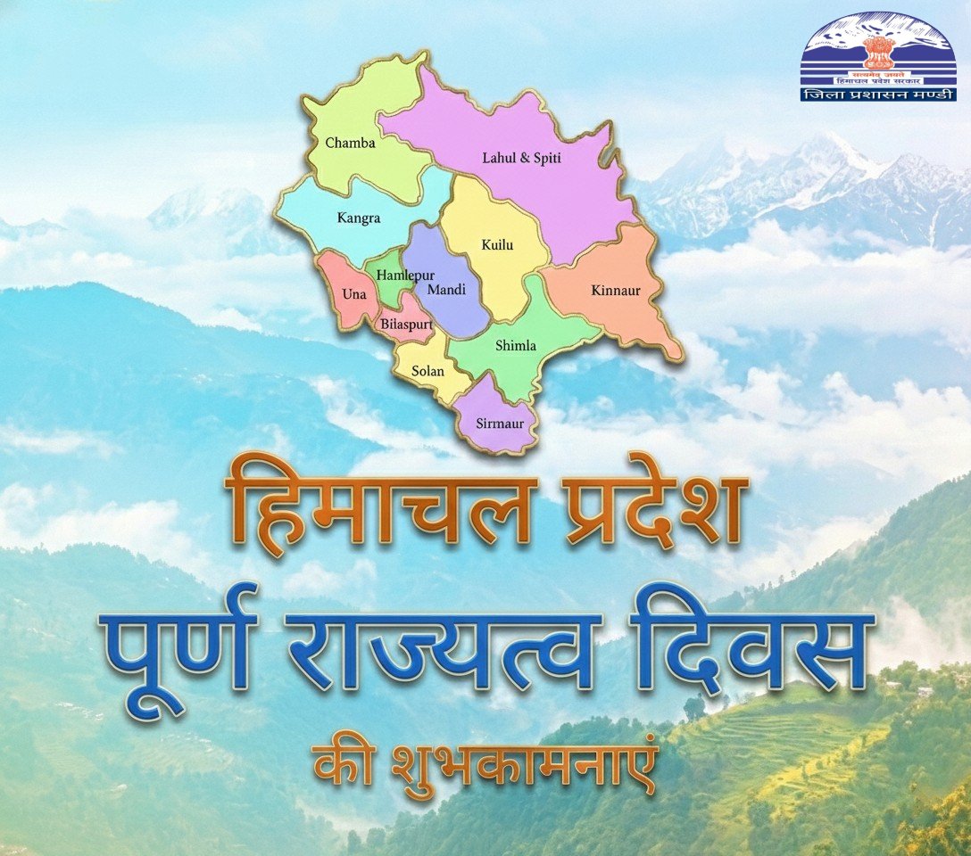 DC Mandi tweet media