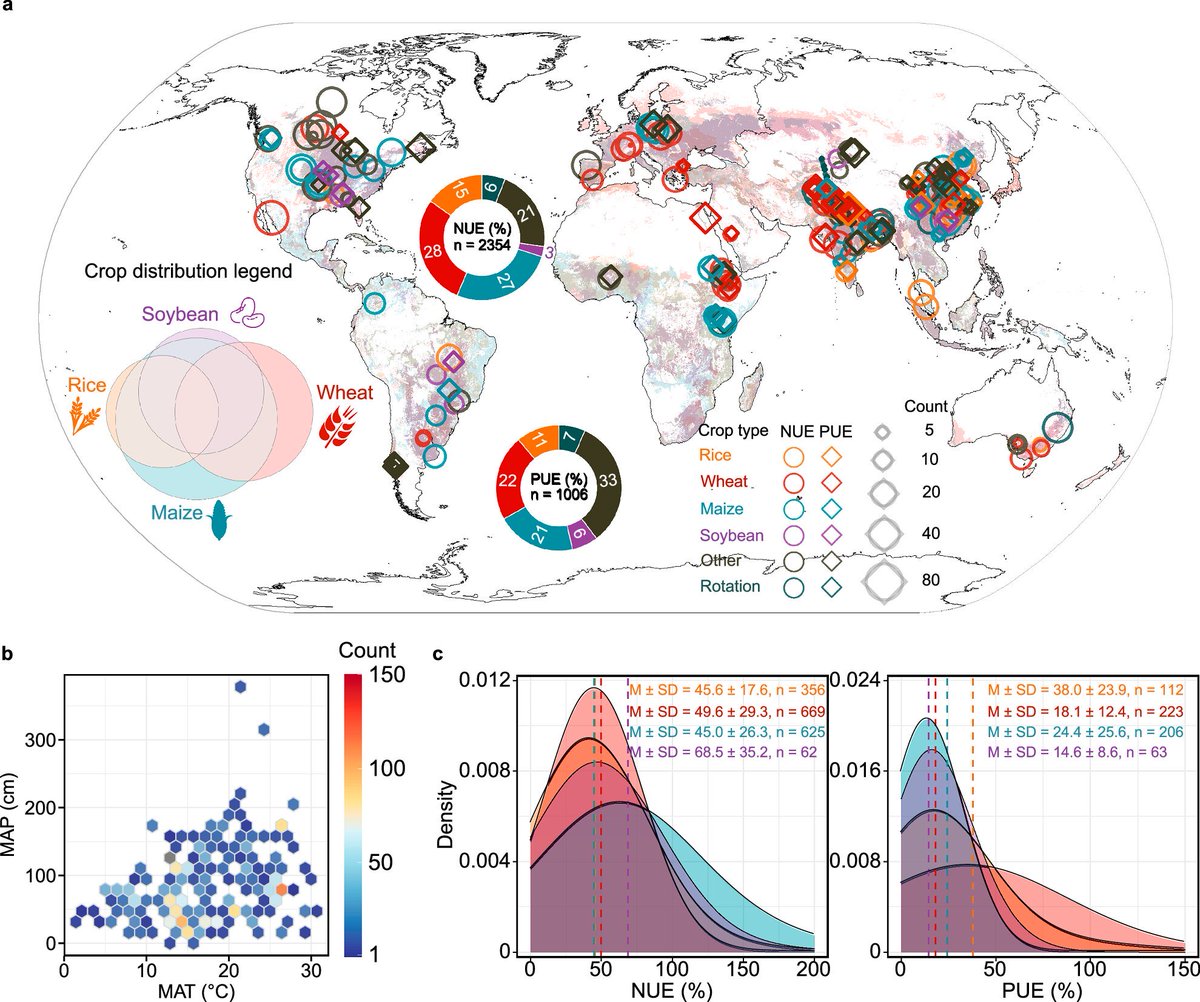 Rishi Tyagi tweet media