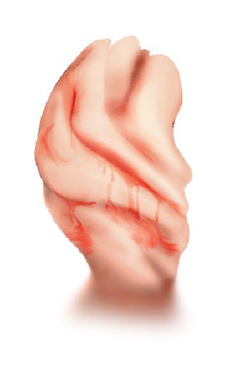 Not even sure what face this was honestly