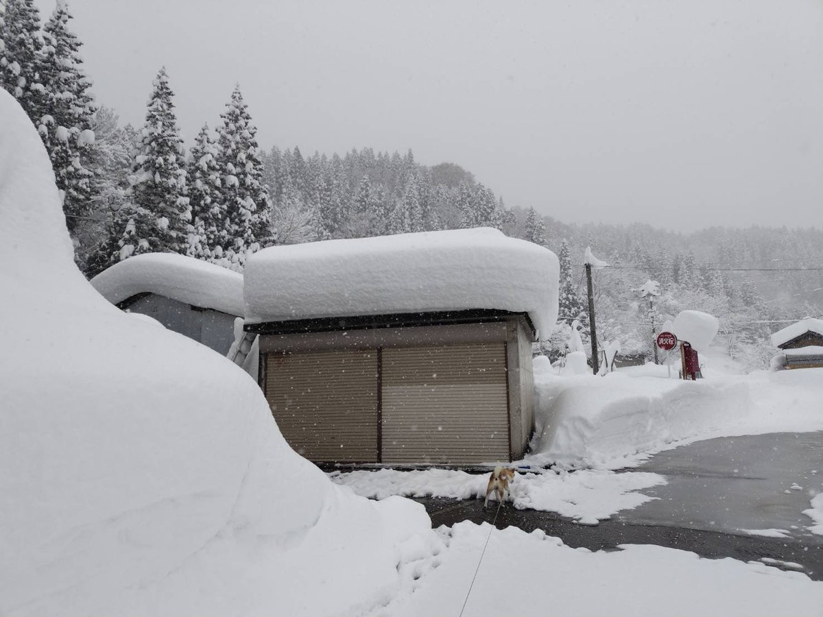 いやー。降りましたね。 市内国道、県道、高速道路も除雪や事故で