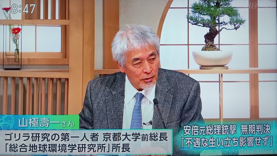 山極壽一氏「日本は過去『韓国に悪い事をしたから日本人から金を集めて韓国に還流させる』と総裁が言ってる、これ『国賊』もんじゃないですか、それをなんで国を守る立場の政府の大物議員が統一教会を認めてきたのか💢全然解明されてない💢なんとかしてよ💢これで終わりは間違いだと思う」

＃サンモニ