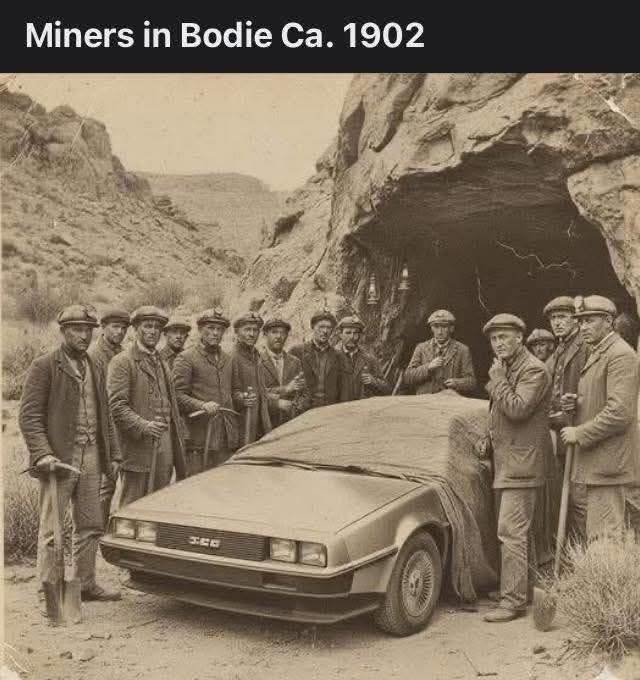 AlphaFox tweet media