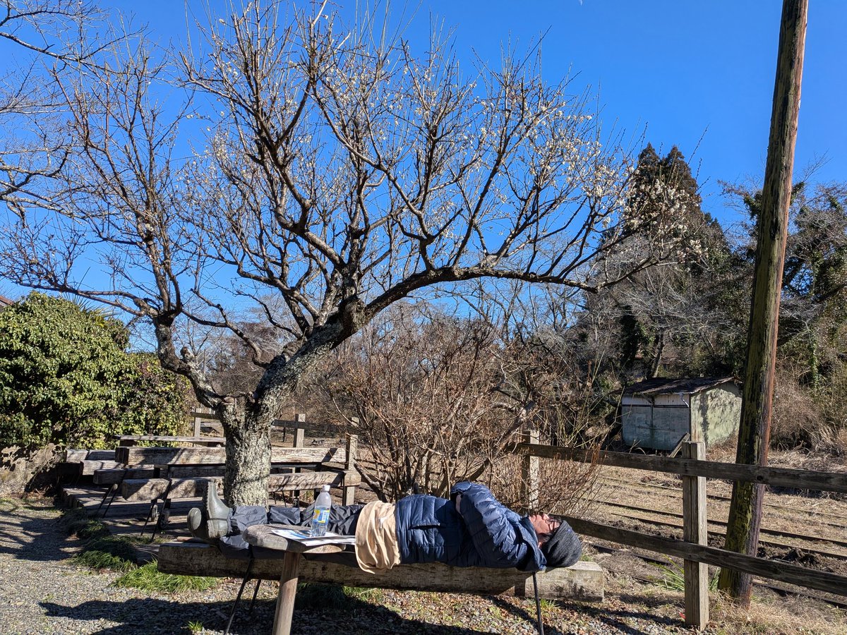 早起きは三文の徳なり