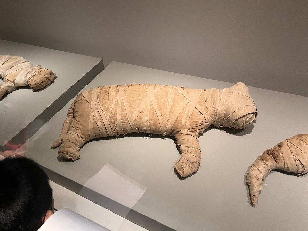 Lucas Chen tweet media