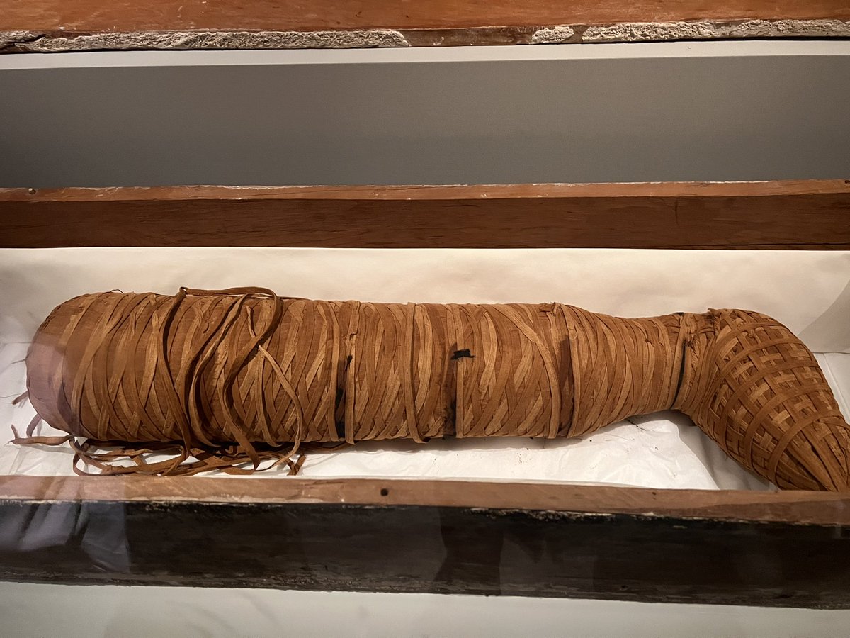 Lucas Chen tweet media