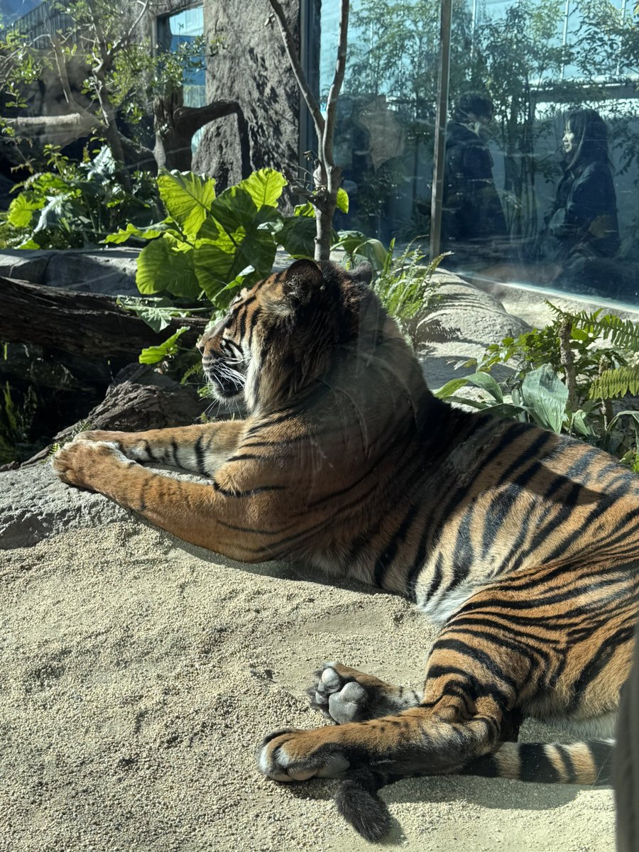 Androイド tweet media