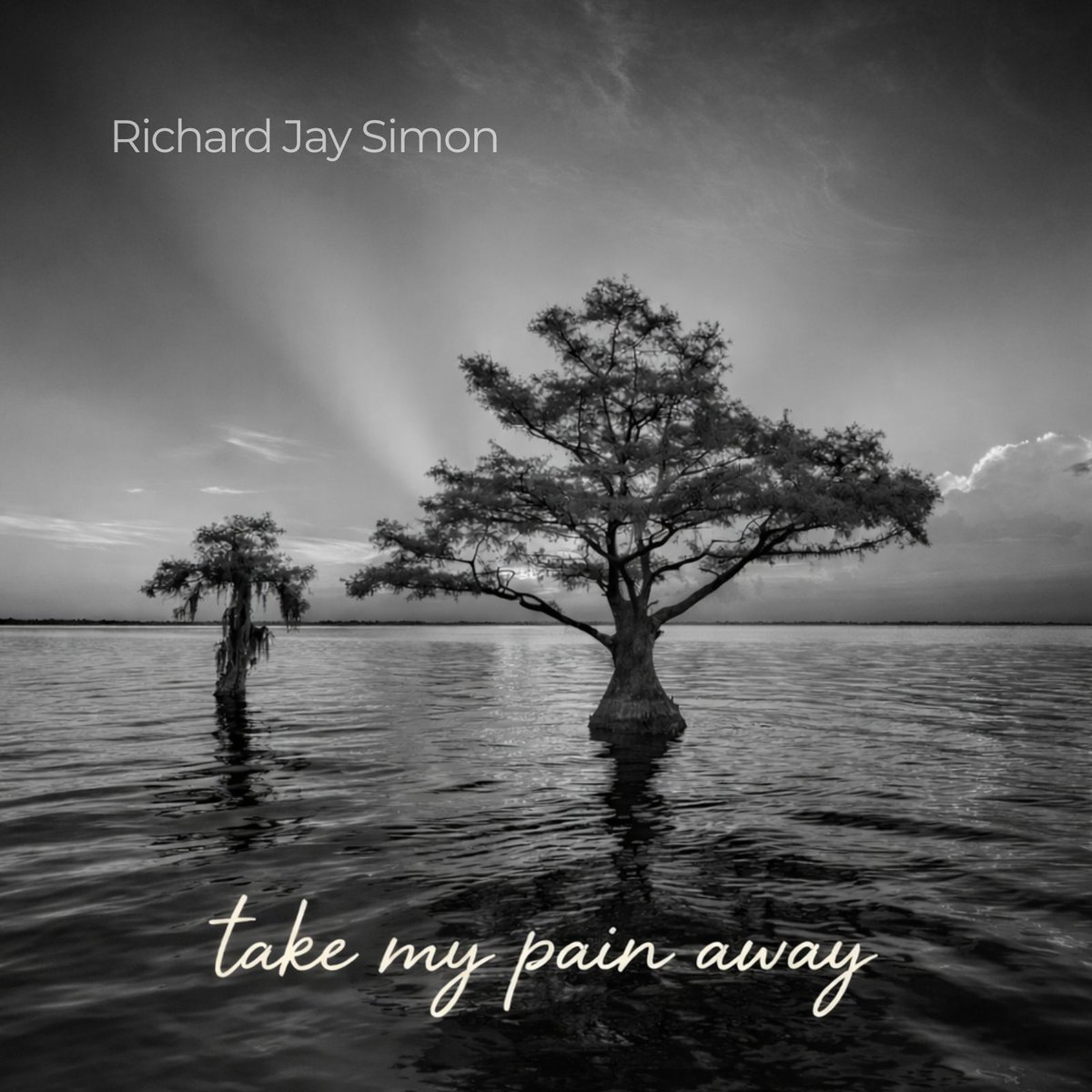 richardjaysimon's tweet image. The countdown is on &amp;amp; the release of my debut single “take my pain away” is just days away. I cannot wait for you to hear it! This cover art carries a special meaning to me as it honors one of my heroes.
Read more on my music page: linktree.com/richardjaysimon

#originalmusic #newtune