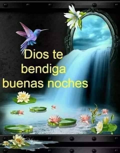 Errolyn (@errolyncr) on Twitter photo 