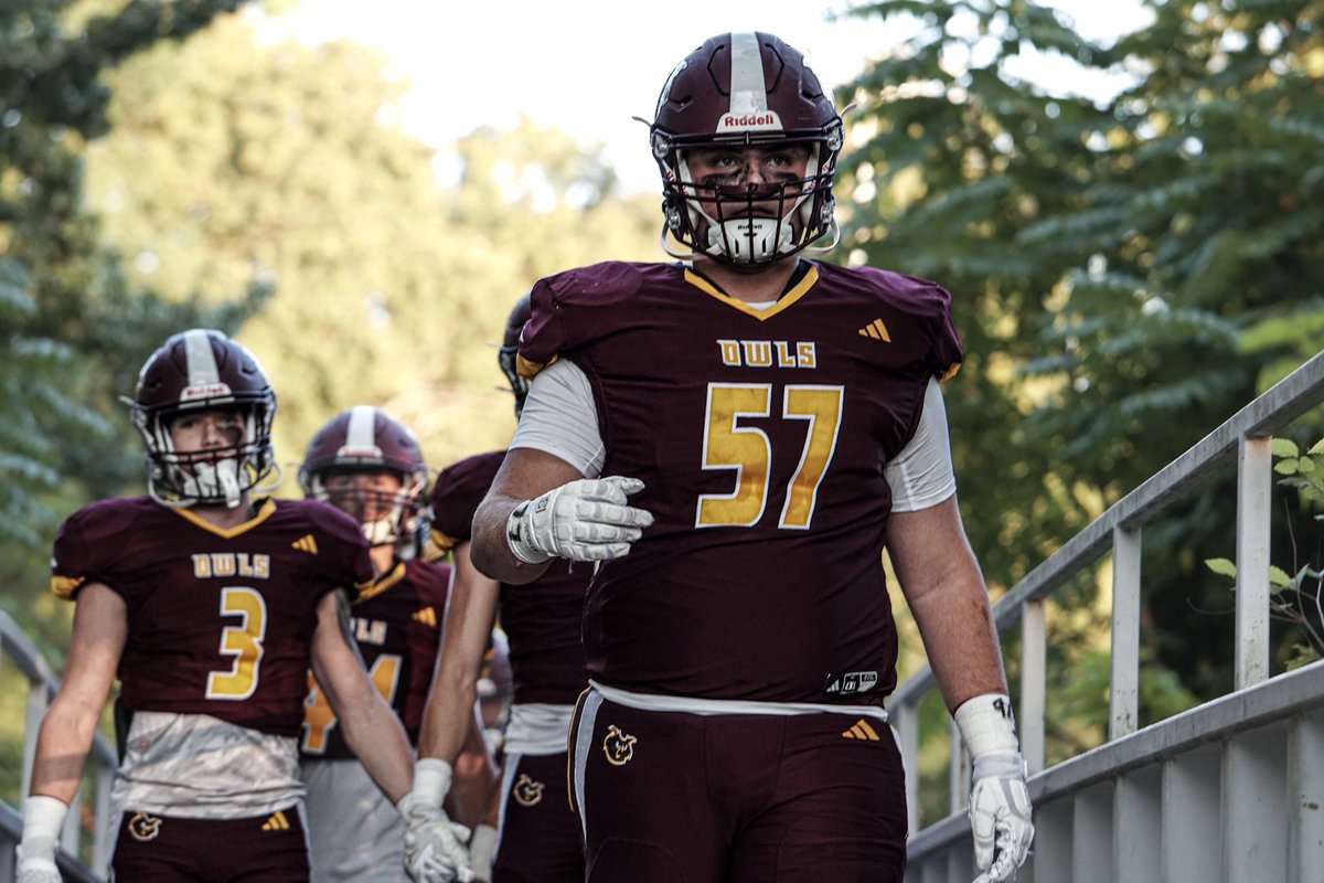 Nick Schwartz tweet media