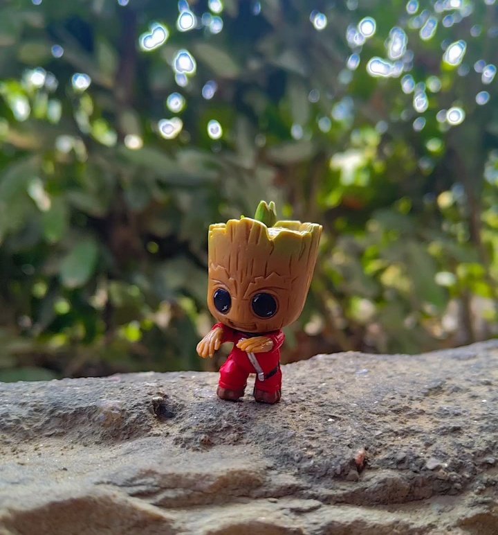 Modi ji paglu bhi bna diya 🌸😂🍁