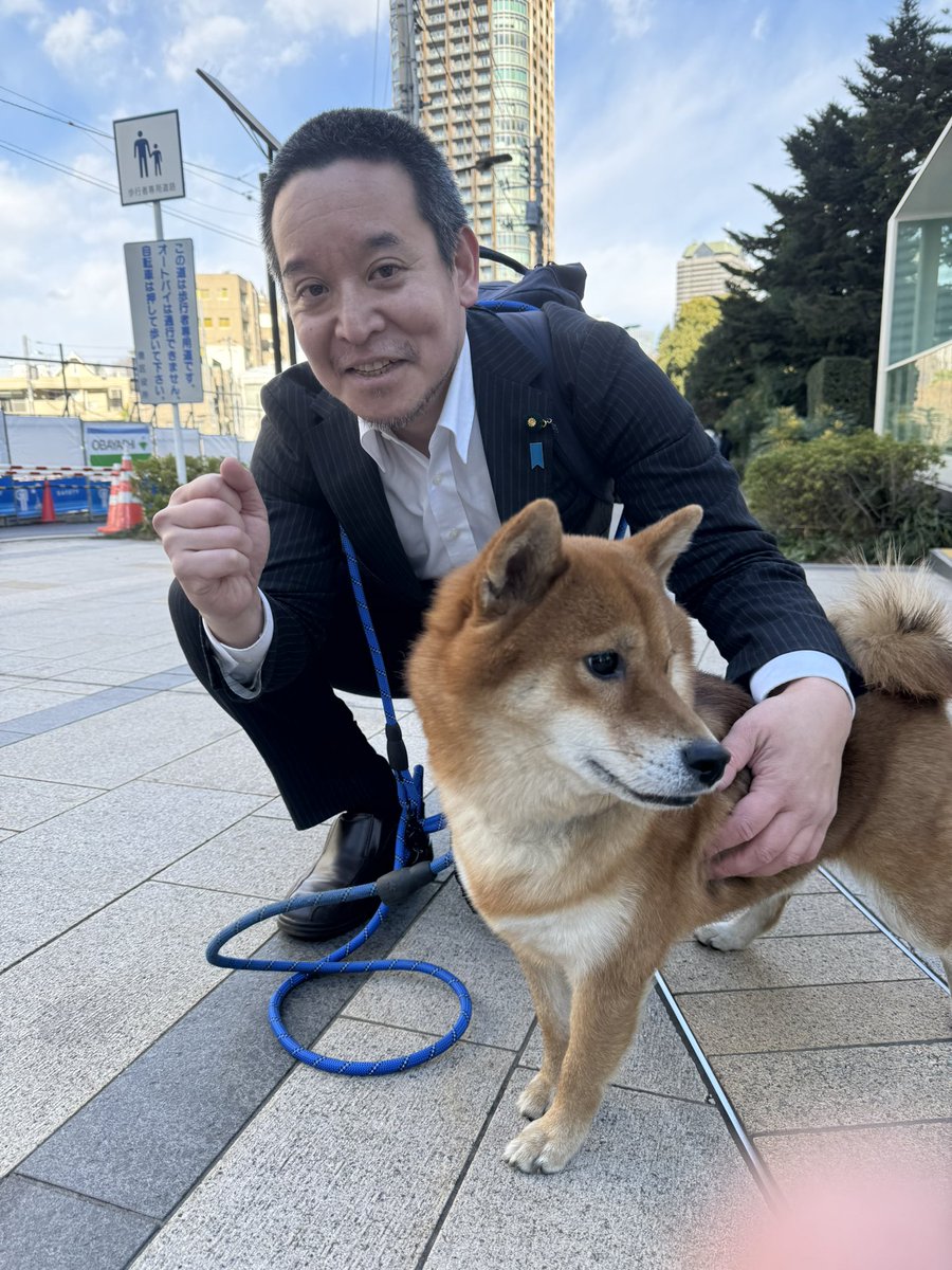 立花孝志党首の愛犬サスケ君と散歩してきました。