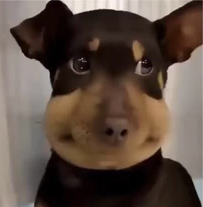 น้ำผึ้งแท้ไม๊คับ
: แท้คับ