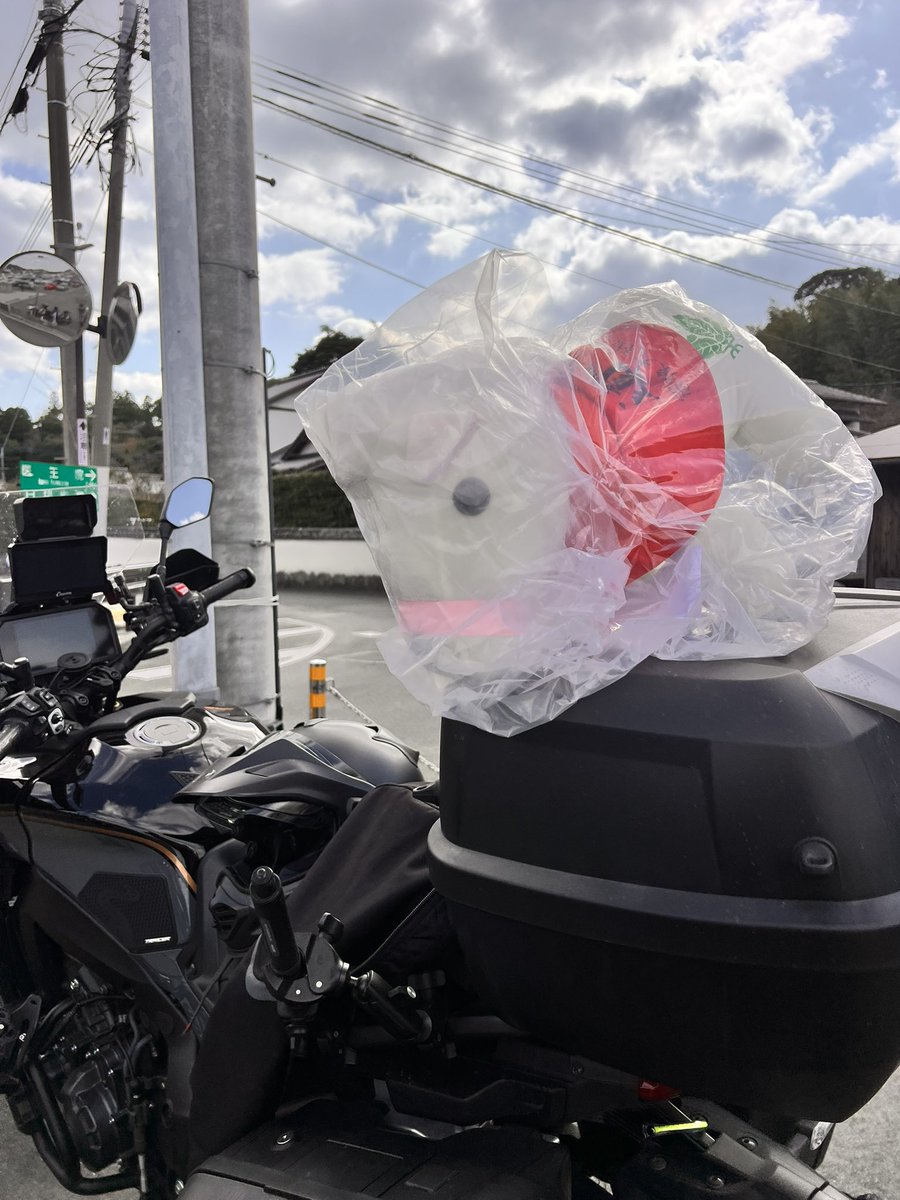 sai1206's tweet photo. 宗像大社で福みくじ

バイクなのに大きい馬のぬいぐるみ当たった

トップケース外してこなくてよかった　
めんどくさがりが功を奏したw https://t.co/BKdSrsXVUj