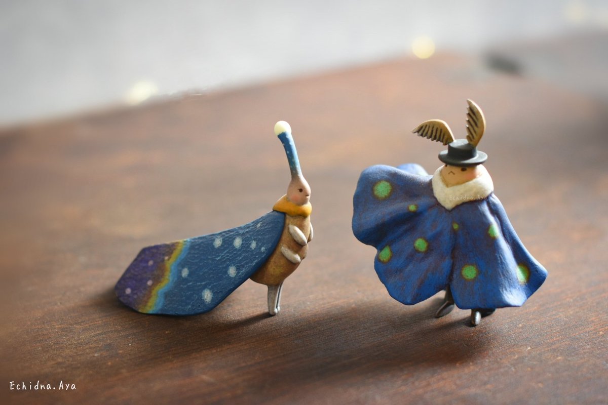 Echidna.Aya　エキドナアヤ tweet media