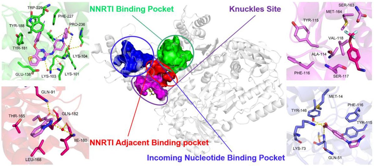 ActaPharmSinB's tweet photo. Review🎀#Structural #biology of #HIV-1 reverse #transcriptase allosteric #inhibitors for #drug design. From Dr. Liu @ShandongUniversity,
https://t.co/Y16dFLH4lF. https://t.co/g0rivjJtLR