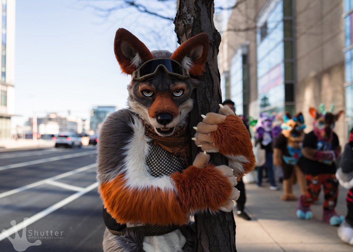 Shutter 🔜 FCL tweet media