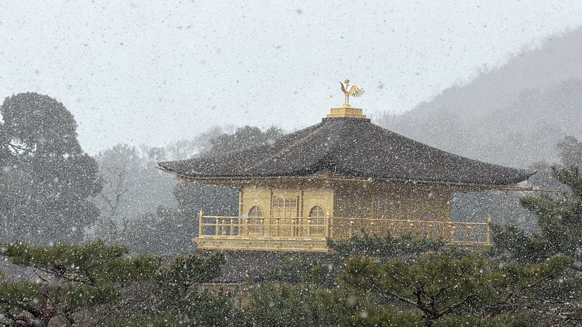 本來以為可以看到雪金閣，可是繞道後面雪才開始下😅沒關係，之後再來；旅行總是要有點遺憾🥰