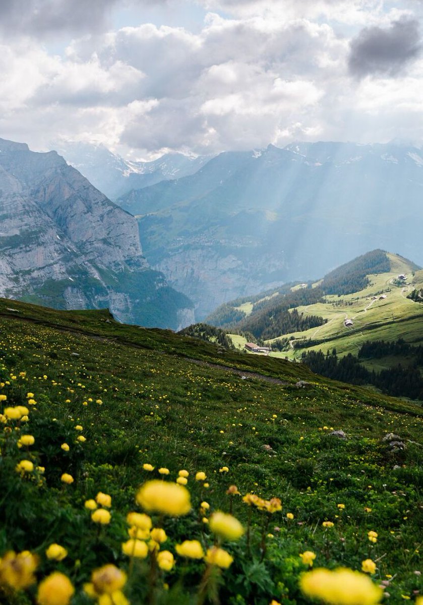 WittyWizzy's tweet image. 友達からの連絡が久しぶりすぎて驚いた
元気にしてるみたいで安心 🐊