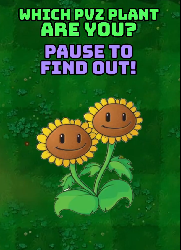 Jaden🗣 tweet media