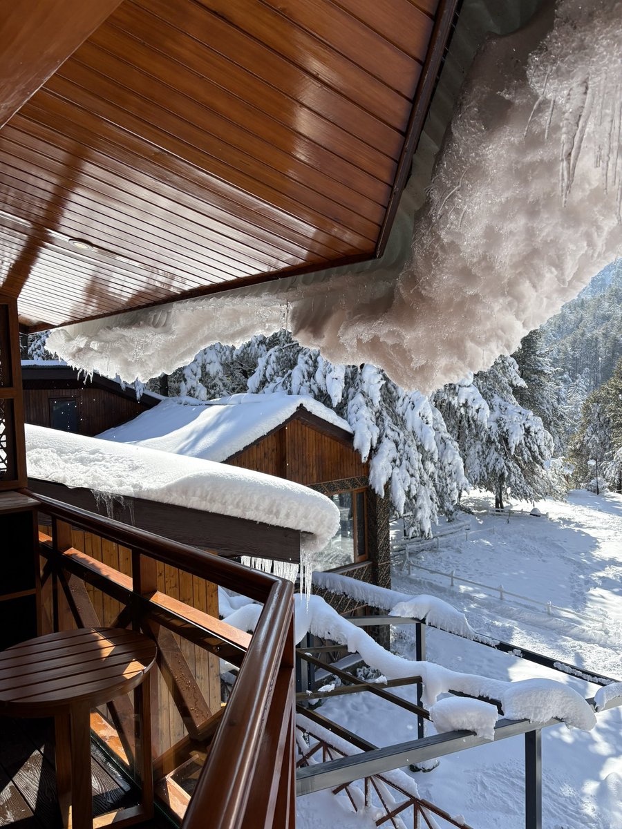 aiburza's tweet image. After it settles!
#Snow #Pahalgam