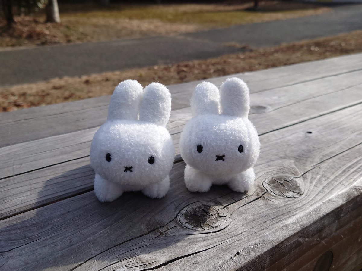 MAKE YOUR TRASITION (@irqri) on Twitter photo 