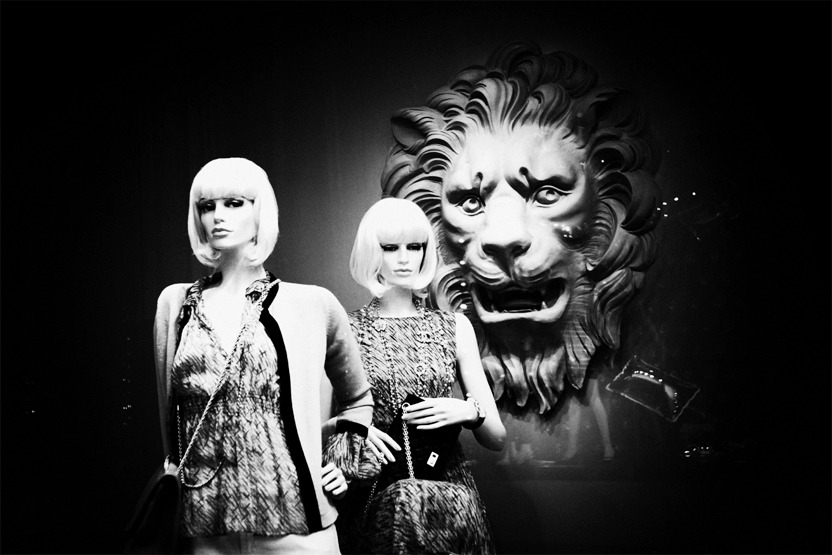 グットモーニング🎵
朝の1曲。
メルヘンテイストで好みのやつ。

The Mummers - "Wonderland" from the album Tale to Tell youtu.be/okwJYtgkH_E?si… <a href="/YouTube/">YouTube</a>より