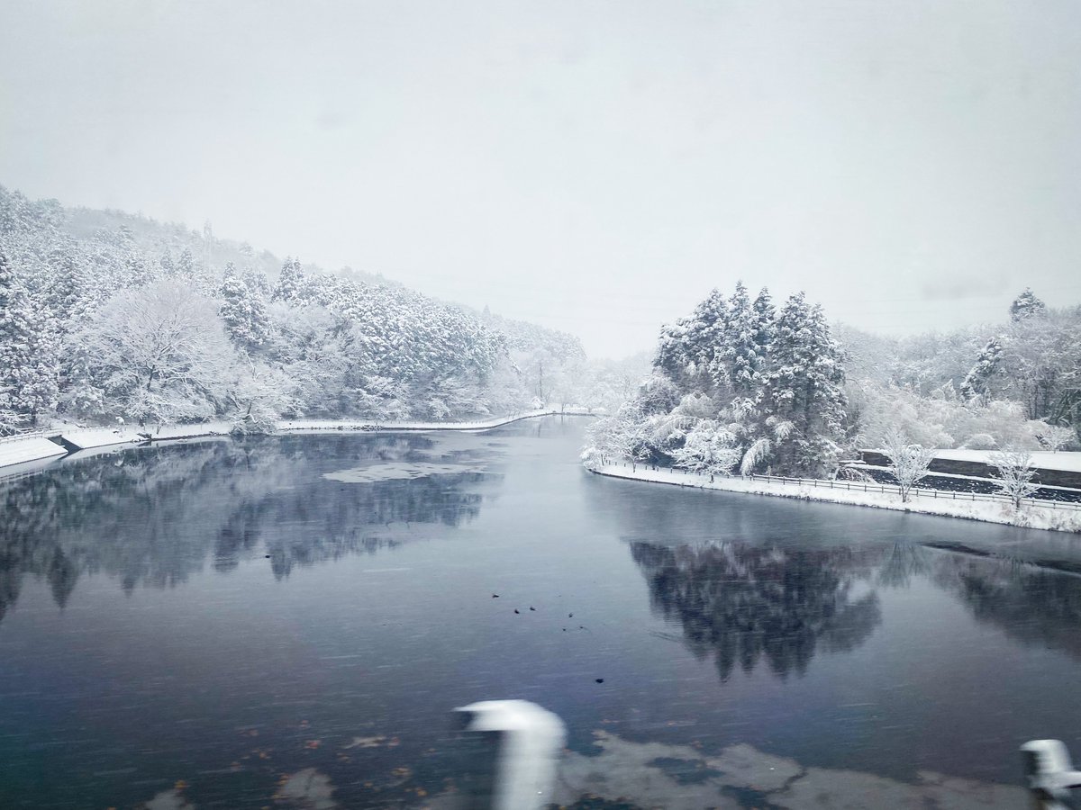 すごーい雪❄︎