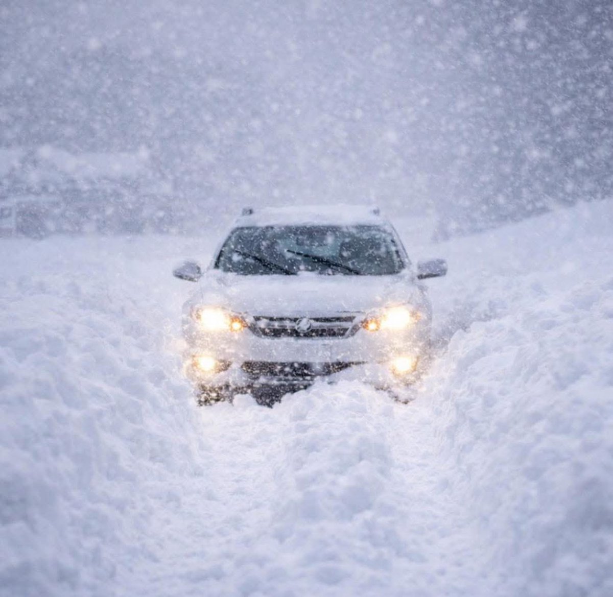 Callunc's tweet image. Me getting coffee tomorrow