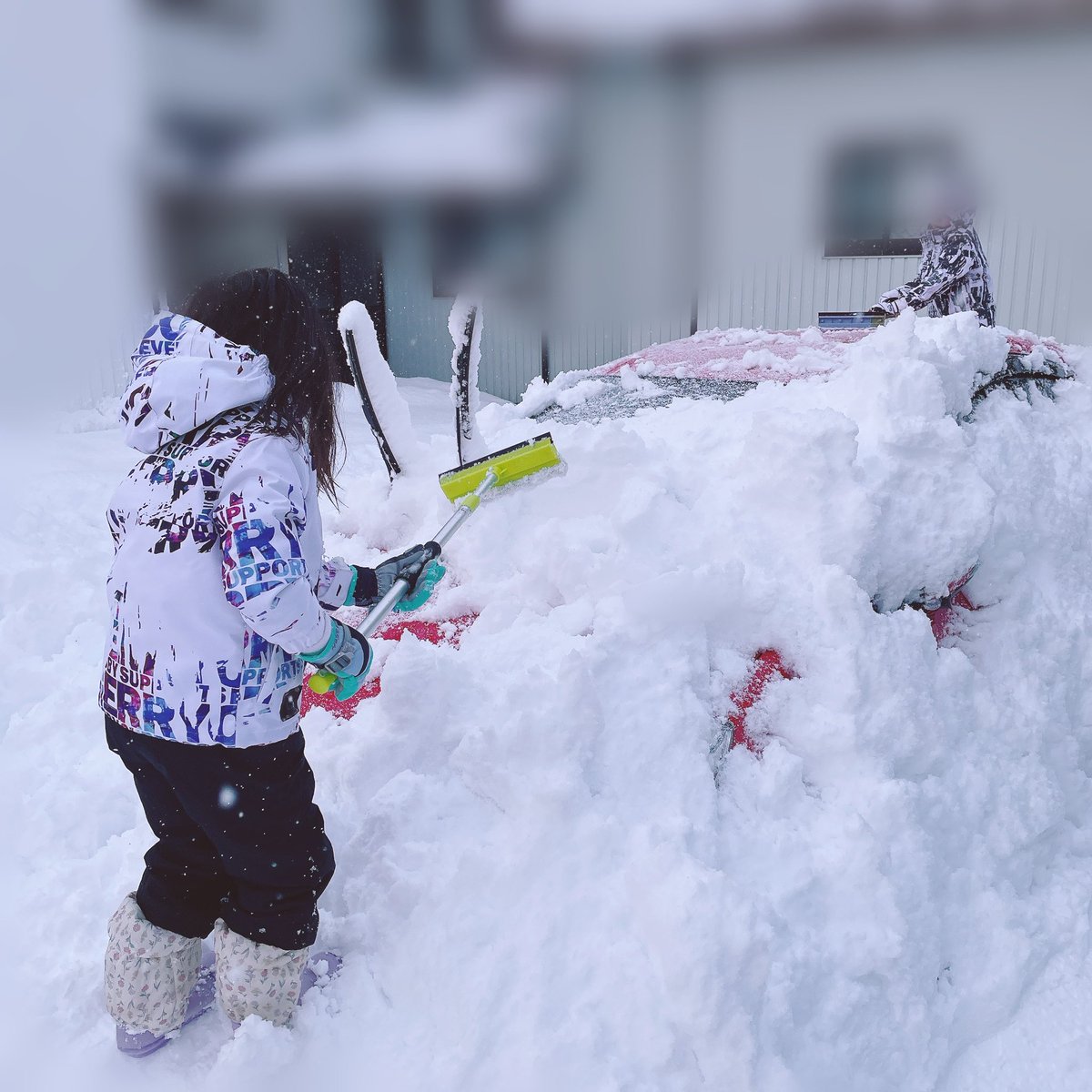 おはようございます起きたらこれです
雪のない県に住みたいです