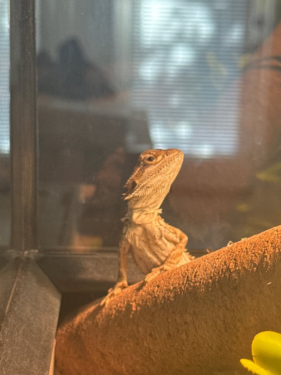 UNDEADKING tweet media