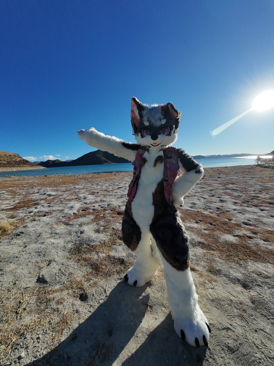 Luckey:Dog tweet media