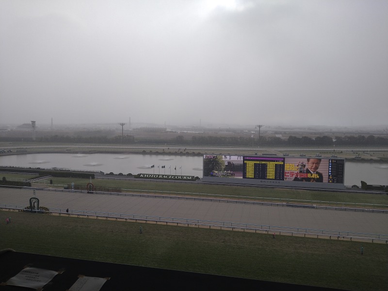 雪❄が舞う #京都競馬場 です🐎