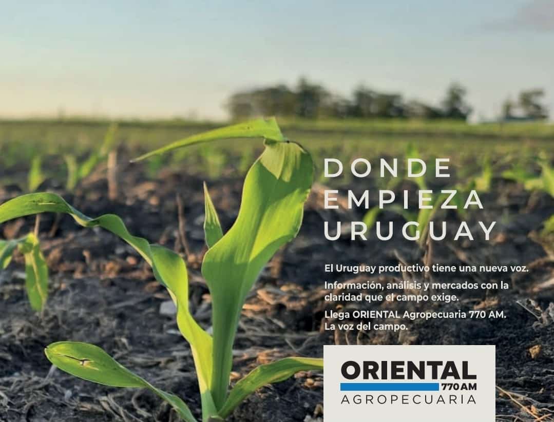 Yonnatan Santos tweet media