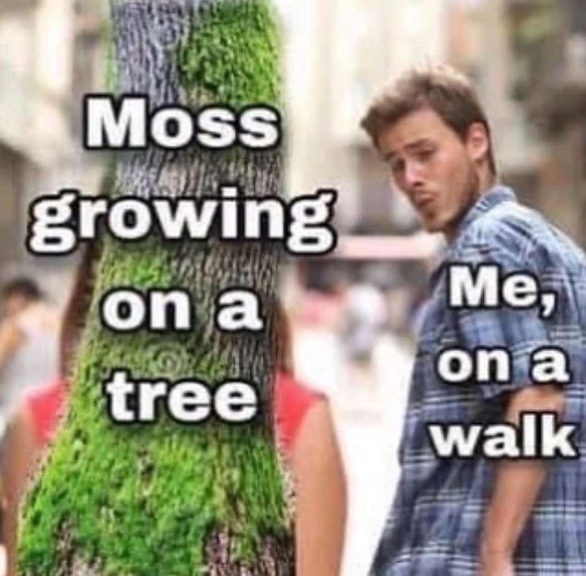 RespectfulMemes's tweet photo. https://t.co/a2hD4iBYgf
