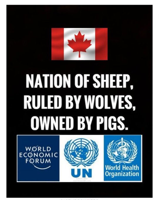 <a href="/mario4thenorth/">Mario Zelaya</a>