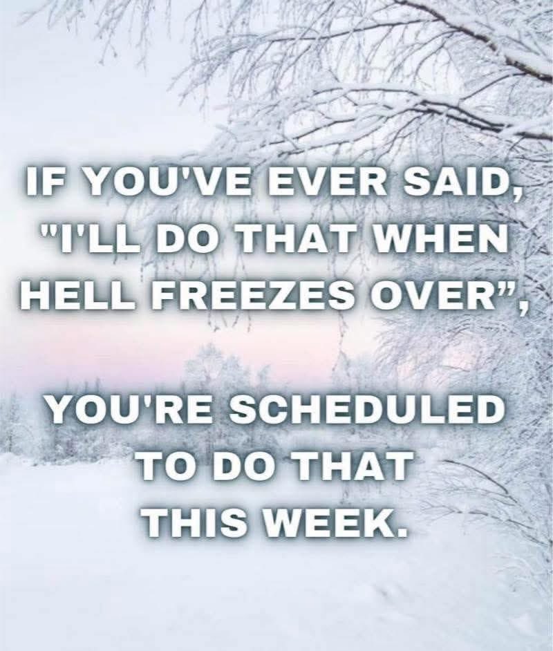 Gretchen Hidell tweet media