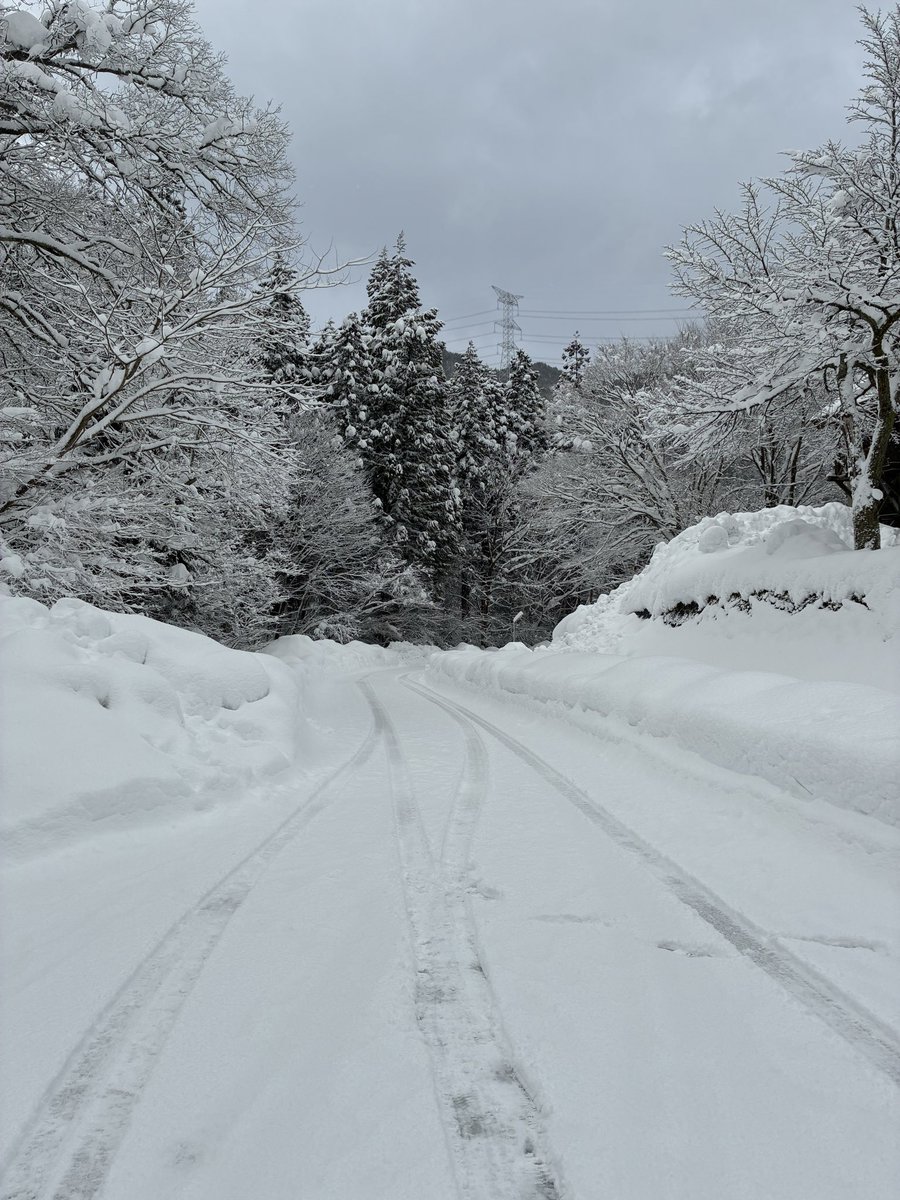 雪ロケ！これ以上降らなくても良いですw