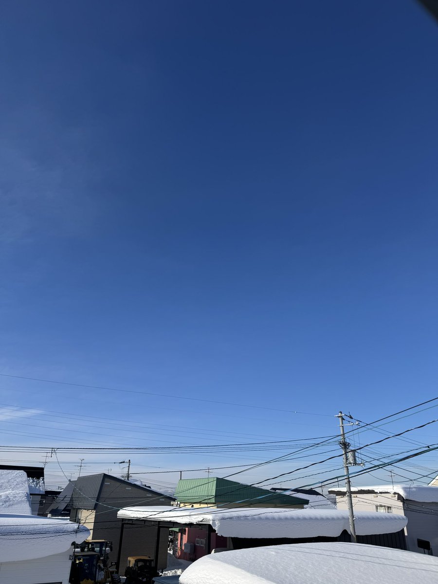 たえこ＠王子担当 tweet media