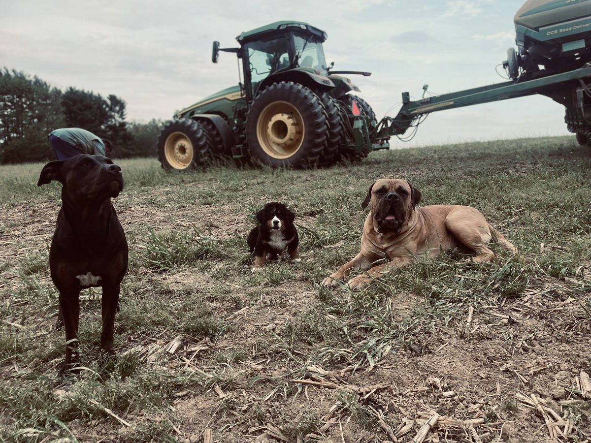 Mikey Patrick tweet media