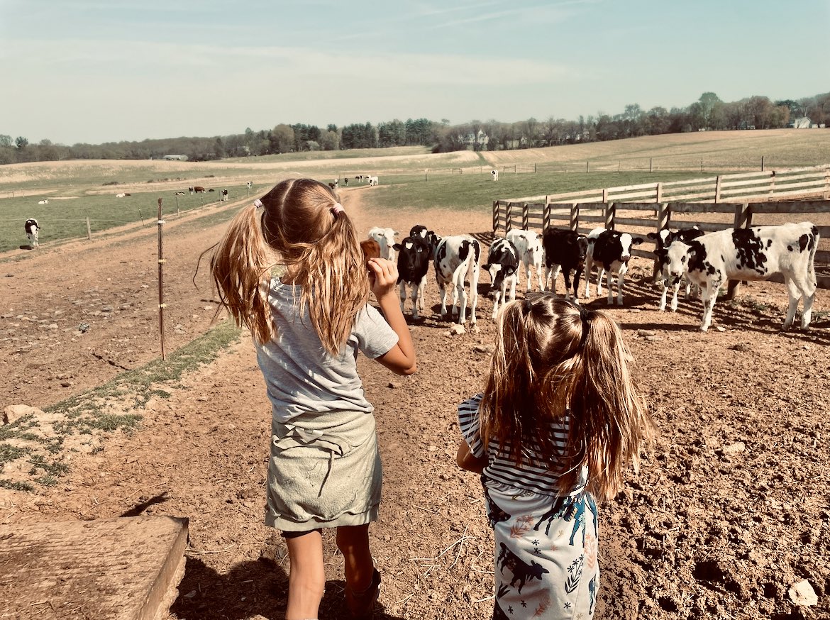 Mikey Patrick tweet media