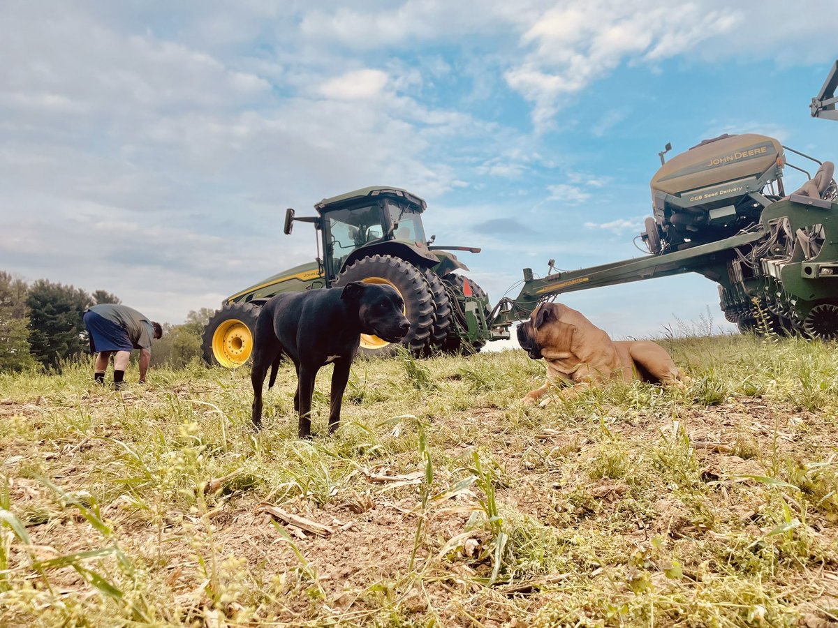 Mikey Patrick tweet media