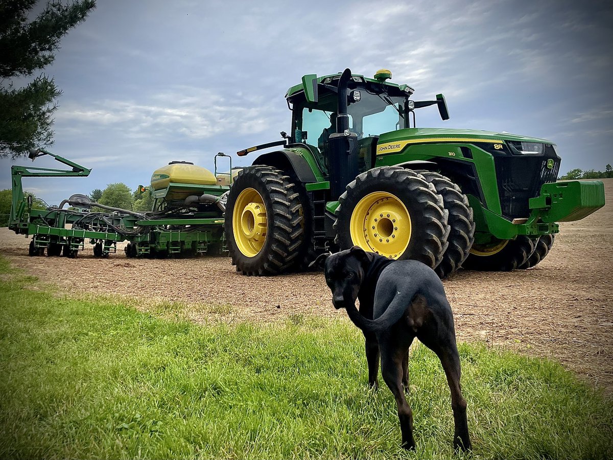 Mikey Patrick tweet media