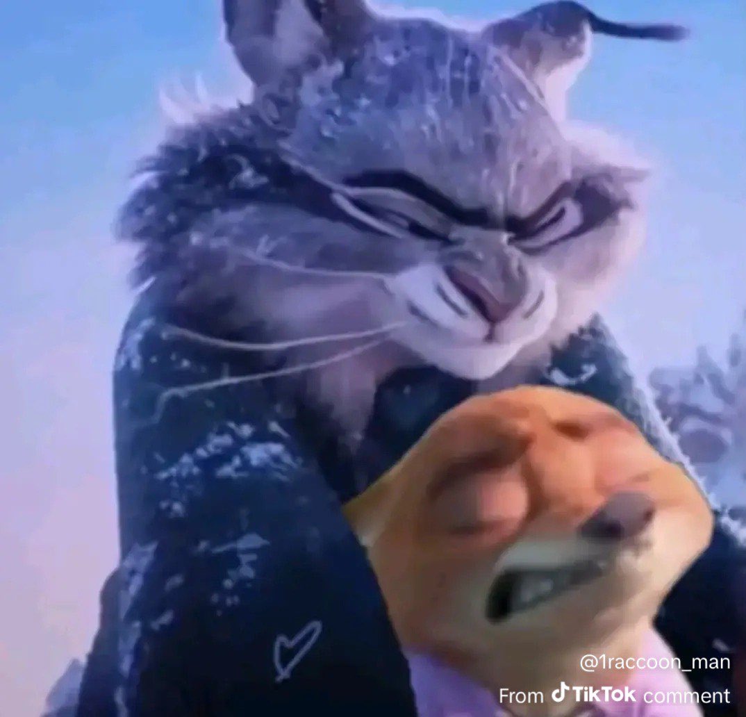 <a href="/wildetoujours/">pau 🦊ིྀི</a>